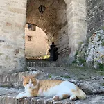 度假居 Al Castello Di Elcito *